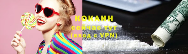 крисы Дмитровск
