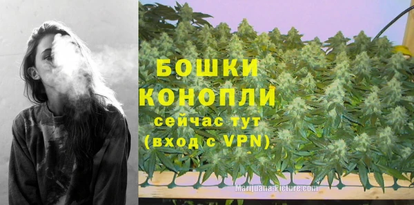 стаф Дмитров
