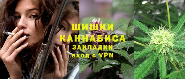 стаф Дмитров