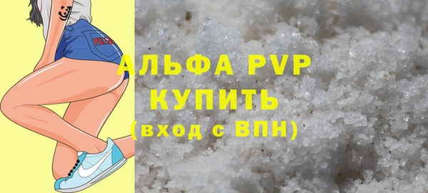 стаф Дмитров