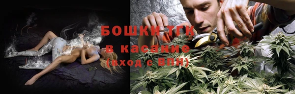 мет Новозыбков
