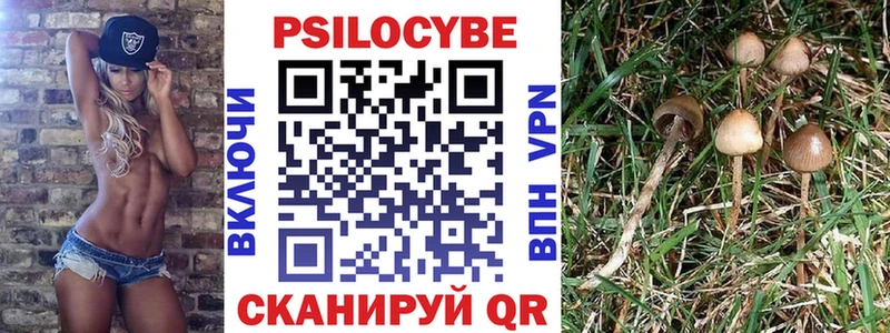 наркошоп  Обь  Псилоцибиновые грибы ЛСД 