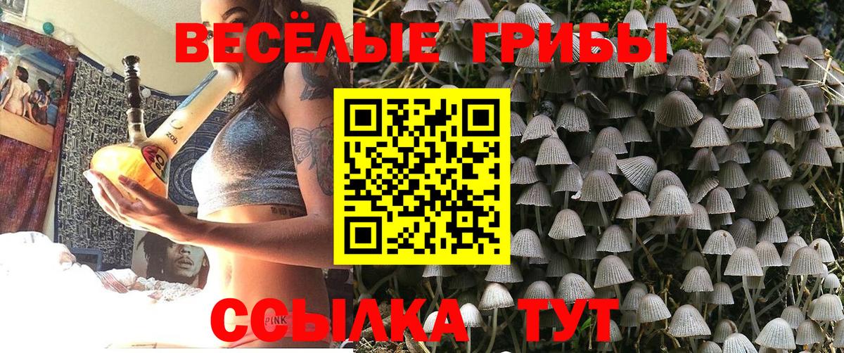Обь  Псилоцибиновые грибы Psilocybine cubensis  Псилоцибиновые грибы MAGIC MUSHROOMS  Вход с VPN 